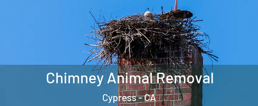 Chimney Animal Removal Cypress - CA