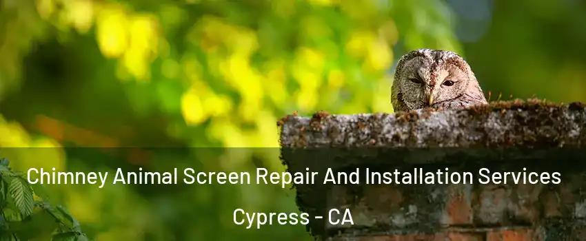  Chimney Animal Screen Repair And Installation Services Cypress - CA