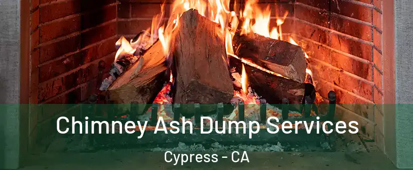  Chimney Ash Dump Services Cypress - CA