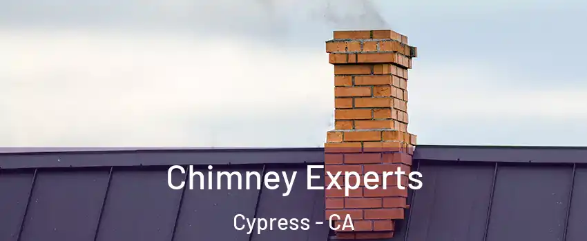 Chimney Experts Cypress - CA