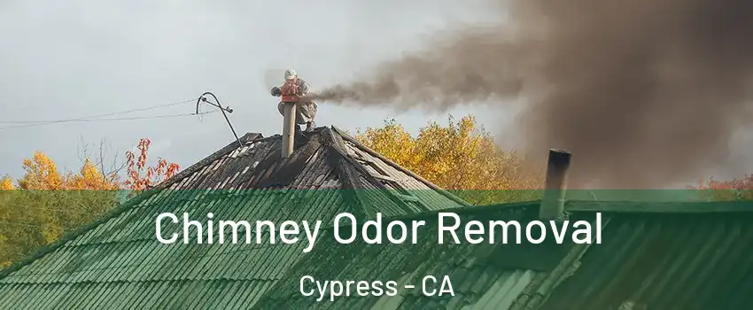  Chimney Odor Removal Cypress - CA