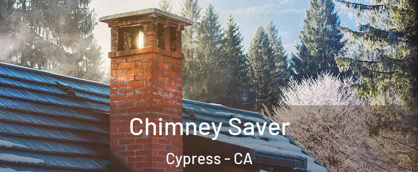  Chimney Saver Cypress - CA