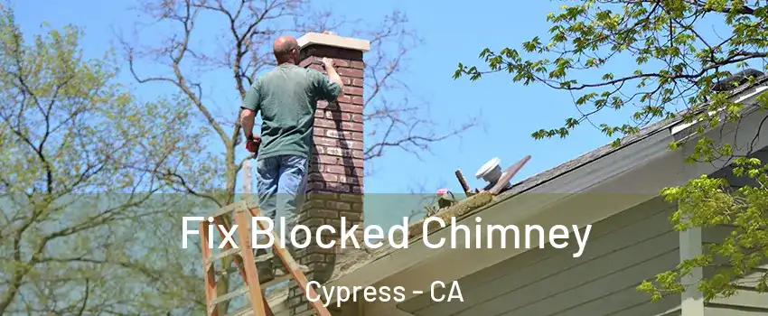  Fix Blocked Chimney Cypress - CA