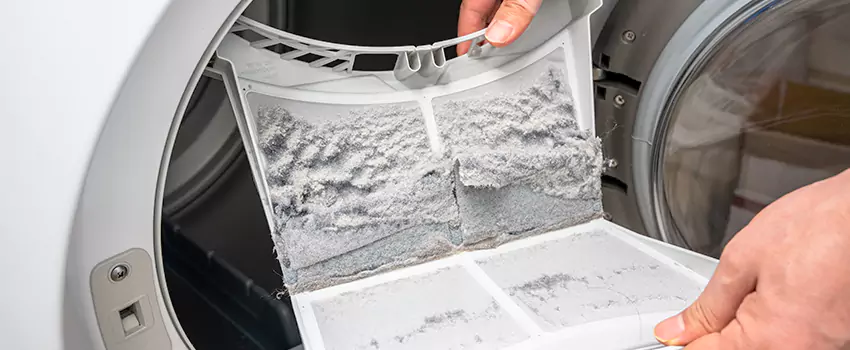 Best Dryer Lint Removal Company in Cypress, California