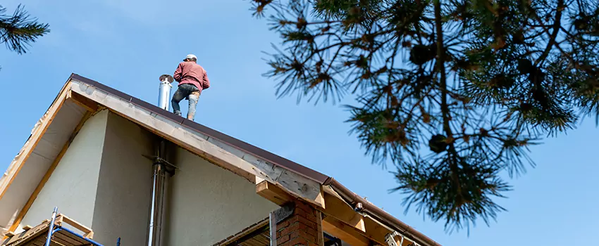 Birds Removal Contractors from Chimney in Cypress, CA