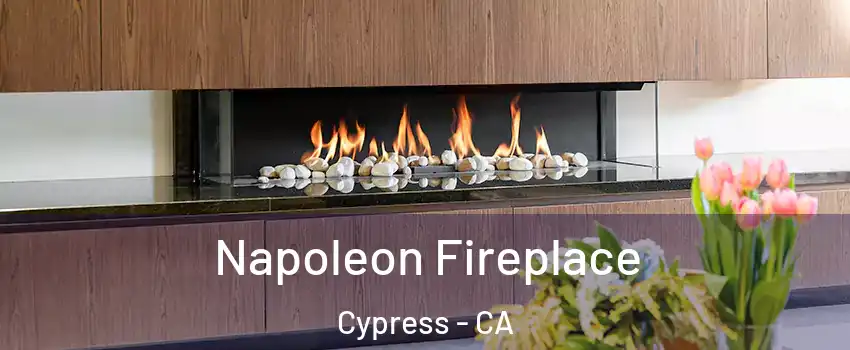  Napoleon Fireplace Cypress - CA